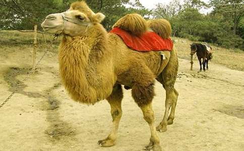 ����R����