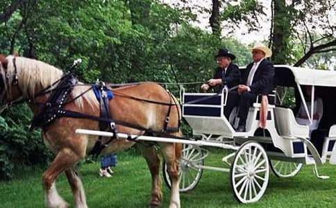 �����С�R܇(ch��)ͯԒ����