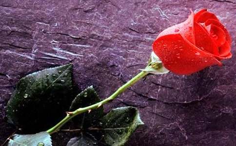 ��ϲ�g�{(l��n)õ�����ģ�ͨ��3ƪ��