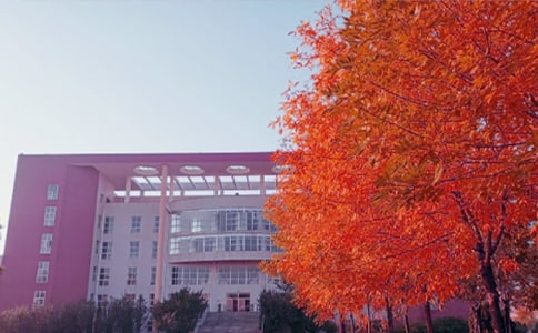 ����˽�Z��������