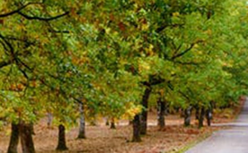 �L(f��ng)�������ľ��x15ƪ