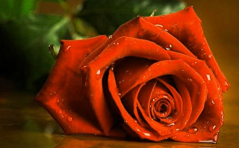 �����T��õ�����ąR����ƪ