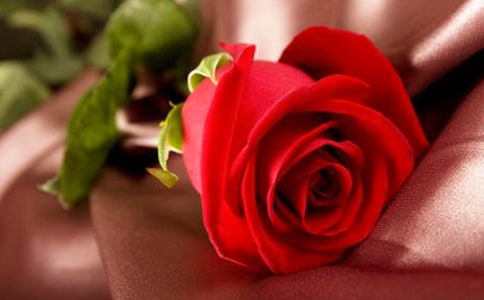 �����x���茑õ������ĺϼ���ƪ