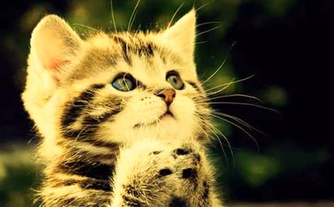 ���؂䡿�ɐ۵�С؈�����ĺϼ���ƪ