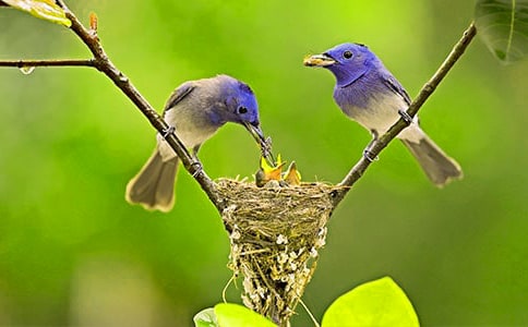 ���P����С�B������ƪ